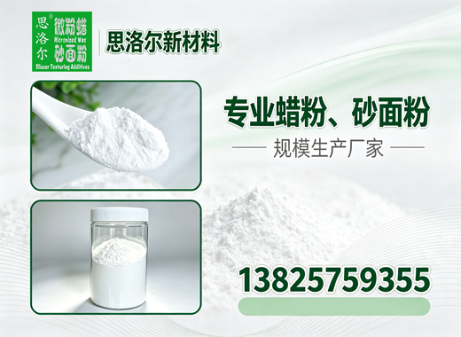 思洛尔镇江线上分站